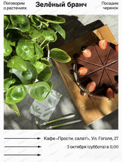 Зелёный бранч "Как подружиться с растениями"