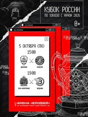 Кубок России по хоккею с мячом. Матч ХК "Динамо-ХК "Енисей", ХК "СКА-Нефтяник"- ХК "Водник"