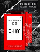Кубок России по хоккею с мячом. Финал