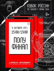 Кубок России по хоккею с мячом. Полуфинал