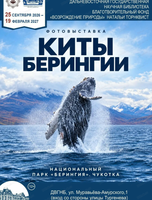 Фотовыставка "Киты Берингии"