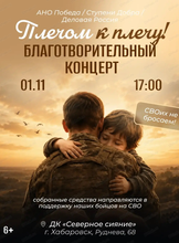 Благотворительный концерт "Плечом к плечу"