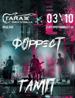 Группа "Форрест" & "ТАМП"