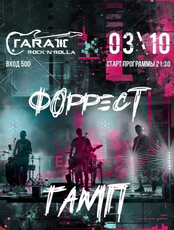 Группа "Форрест" & "ТАМП"