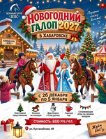 Зимнее представление "Новогодний галоп 2027" в конном клубе