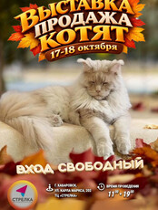 Выставка-продажа котят