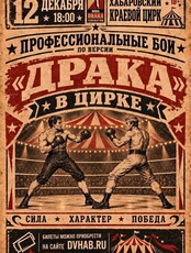 Профессиональные бои по версии "Драка"