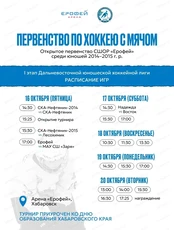 Открытое первенство СШОР "Ерофей" по хоккею с мячом среди юношей