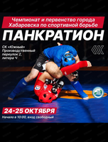Чемпионат и первенство города Хабаровска по спортивной борьбе панкратион