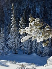 Амут-тур