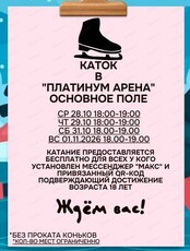 Бесплатный каток в "Платинум Арене"