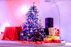 Фотоотчет : БГГГ-2. Суббота, 15 декабря. Изображение 7