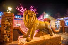 Фотоотчет Звёздная ночь: Звёздная ночь. Пятница,  8 марта. Изображение 2