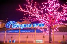Фотоотчет Звёздная ночь: Звёздная ночь. Пятница,  8 марта. Изображение 3