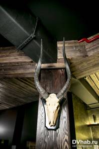 Фотоотчет : Ничего личного. Пятница,  4 апреля. Изображение 5