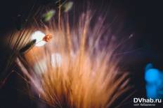 Фотоотчет : Вечер латиноамериканских танцев. Четверг,  4 сентября. Изображение 5