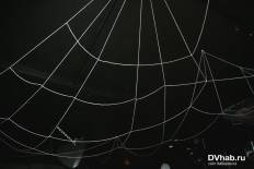 Фотоотчет : Halloween. Пятница, 31 октября. Изображение 170