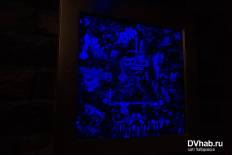 Фотоотчет : Вечеринка. Суббота, 17 января. Изображение 5