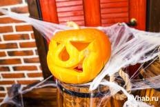 Фотоотчет : Halloween. Суббота, 31 октября. Изображение 10