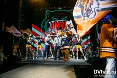 Фотоотчет : "Закрытие хоккейного сезона 2015/16". Суббота, 27 февраля. Изображение 8