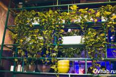 Фотоотчет Эхо: Эхо. Суббота, 14 мая. Изображение 4