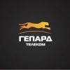 Гепард Телеком ДВ