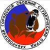 Российские Студенческие Отряды