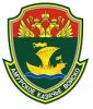 Амурское казачье войско