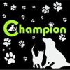 Champion