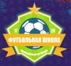Детская Футбольная Школа 17/28