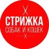 Зоосалон