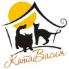 КотаВасия
