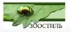 ЗооСтиль