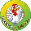 Амурская индейка