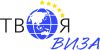 Твоя виза