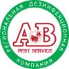 Алькад Восток