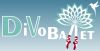 DiVoBallet