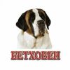 Бетховен