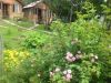 Камень Лёвы