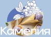 Камелия