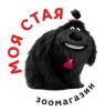 Моя стая