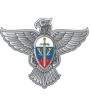 Главный центр специальной связи