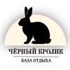 Чёрный кролик