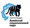 Анюйский