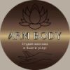 Arm body
