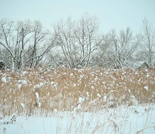 DVHAB на районе: исчезнувшая школа и уполовиненный вокзал Хабаровска-2 (ФОТО)