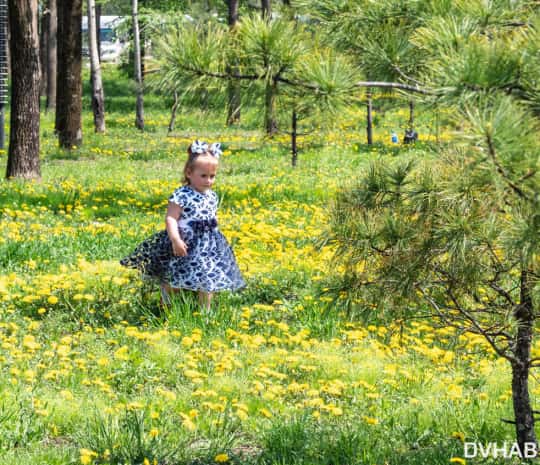 DVHAB на районе: Краснореченская – улица мертвых заводов (ФОТО)