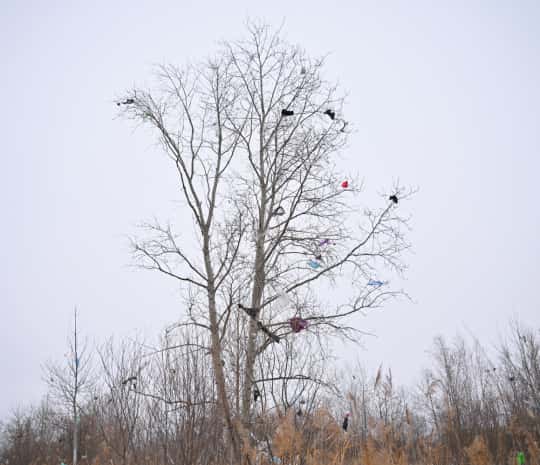 DVHAB на районе: Южная промзона - эксклюзивная кора и самые непроезжие улицы (ФОТО)