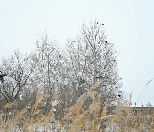 DVHAB на районе: Южная промзона - эксклюзивная кора и самые непроезжие улицы (ФОТО)