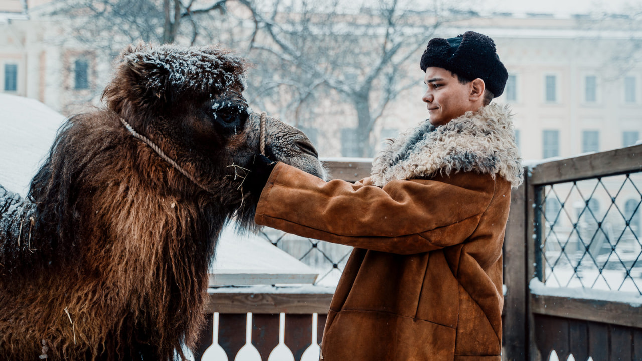 «Красавица»: история о спасении животных в блокадном Ленинграде (РЕЦЕНЗИЯ)
